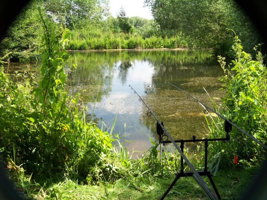 15 Carp Fishing Paste Bait Tips!